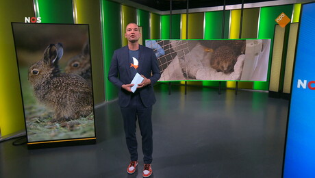 Het NOS Jeugdjournaal | NOS Jeugdjournaal